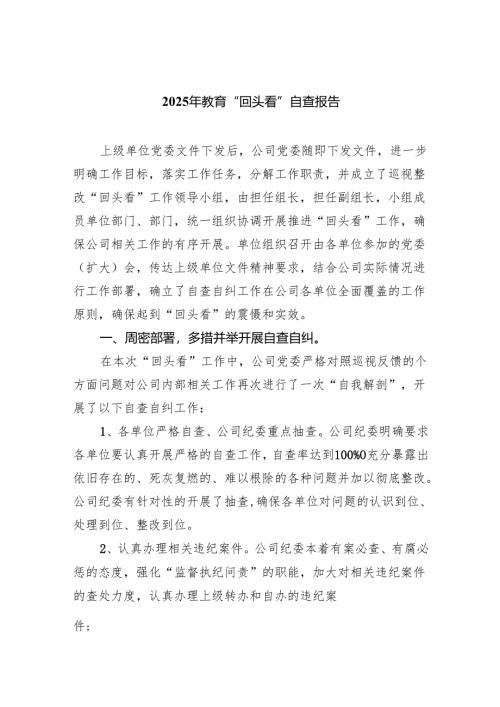 2025年教育“回头看”自查报告5.docx