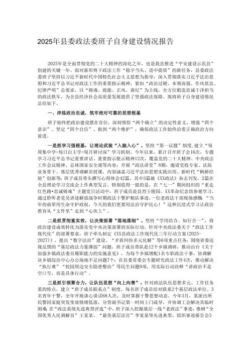 2025年县委政法委班子自身建设情况报告.docx