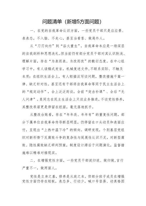 2025学习教育新增五个方面突出问题清单.docx