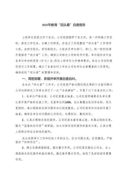 2025年教育“回头看”自查报告（7篇）.docx