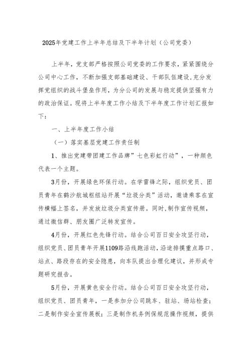 2025年党建工作上半年总结及下半年计划（公司党委）.docx