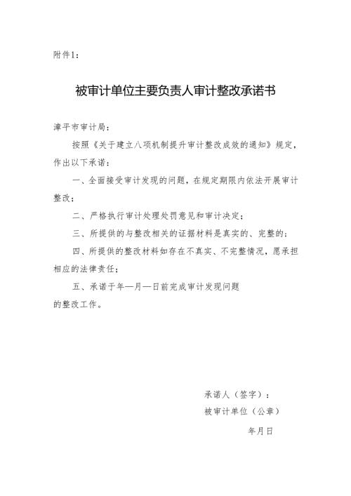 被审计单位审计整改承诺书.docx