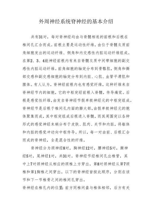 外周神经系统脊神经的基本介绍.docx