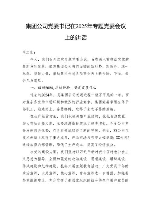 集团公司党委书记在2025年专题党委会议上的讲话.docx