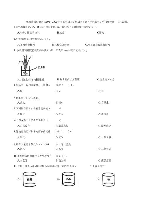广东省肇庆市德庆县2024-2025学年五年级上学期期末考试科学试卷.docx