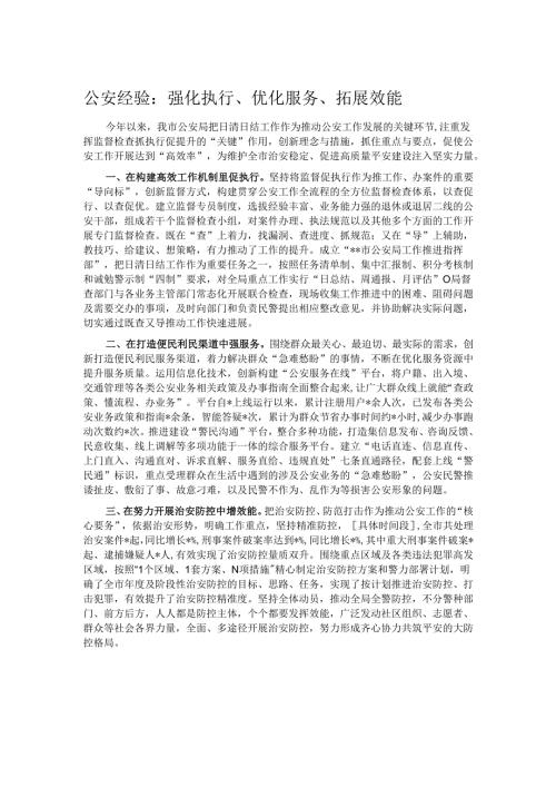 公安经验：强化执行、优化服务、拓展效能.docx