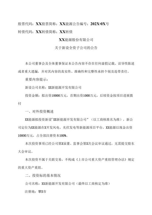 XX能源股份有限公司关于新设全资子公司的公告（2025年）.docx