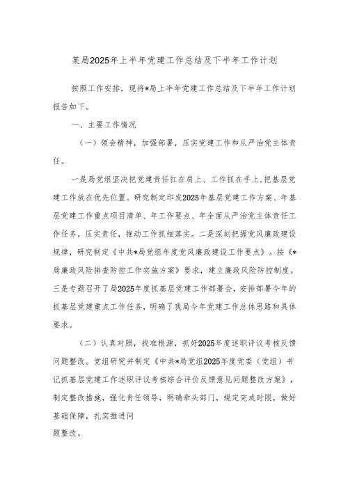 某局 2025 年上半年党建工作总结及下半年工作计划.docx