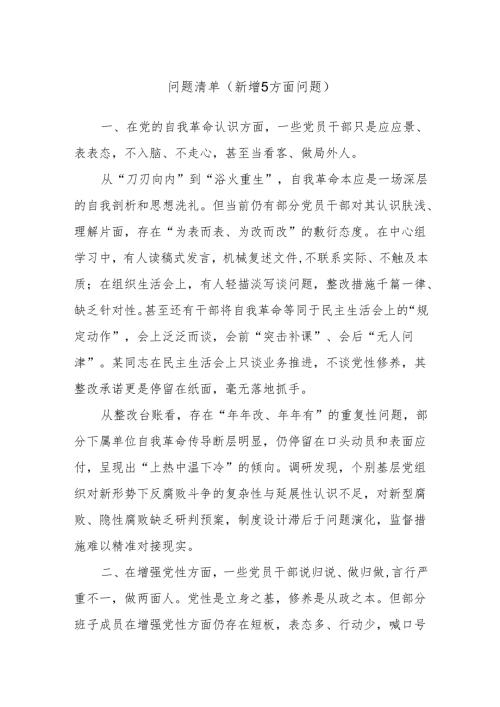 问题清单（新增5方面问题）.docx