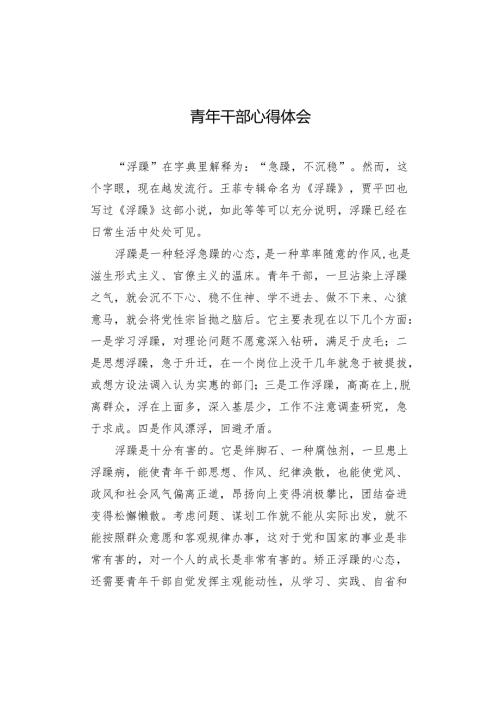 年轻干部心得体会.docx