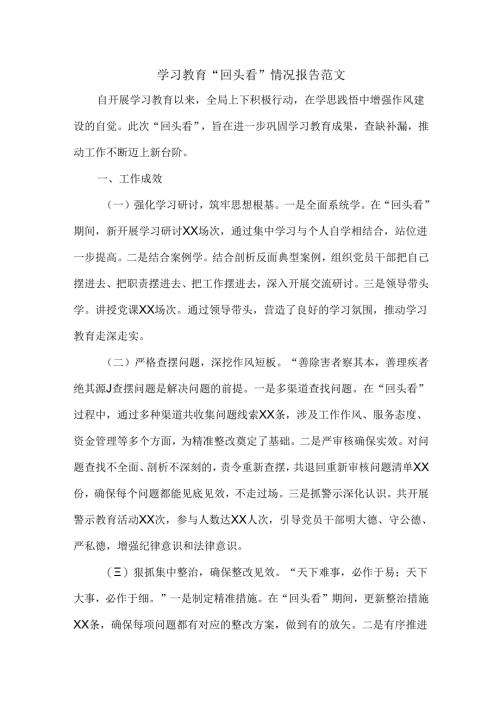 学习教育“回头看”情况报告范文.docx