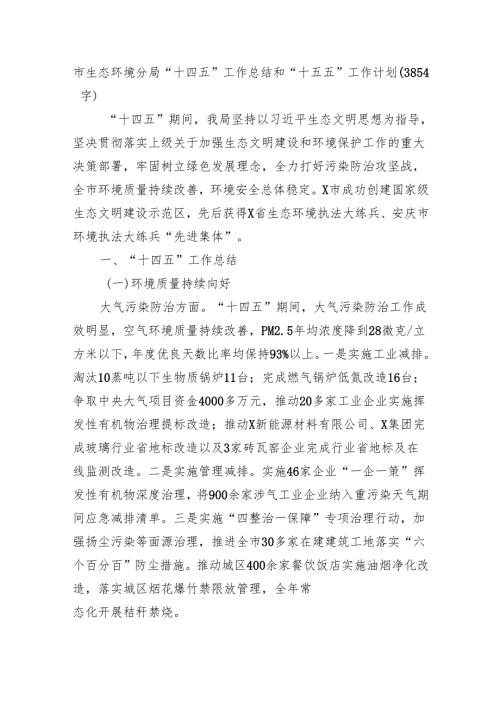 市生态环境分局“十四五”工作总结和“十五五”工作计划（3854字）.docx