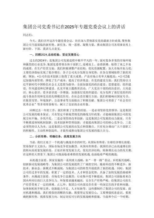 集团公司党委书记在2025年专题党委会议上的讲话.docx