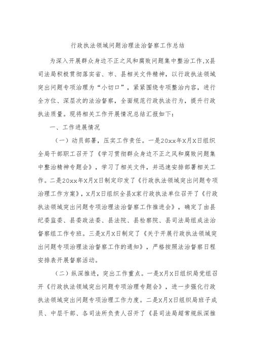 行政执法领域问题治理法治督察工作总结.docx