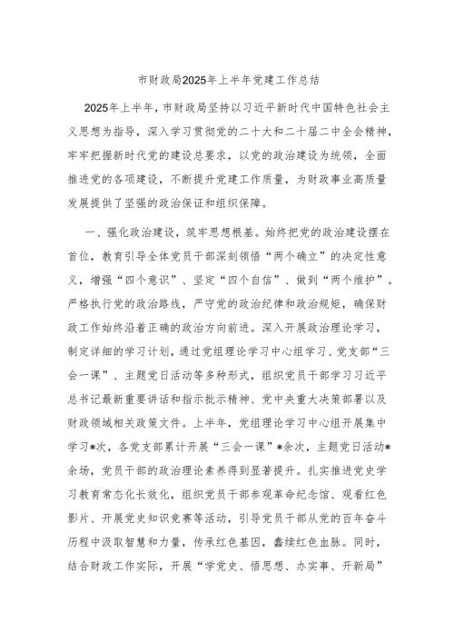 市财政局2025年上半年党建工作总结.docx