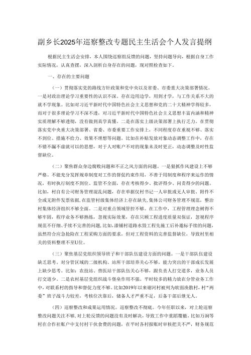 副乡长2025年巡察整改专题民主生活会个人发言提纲.docx