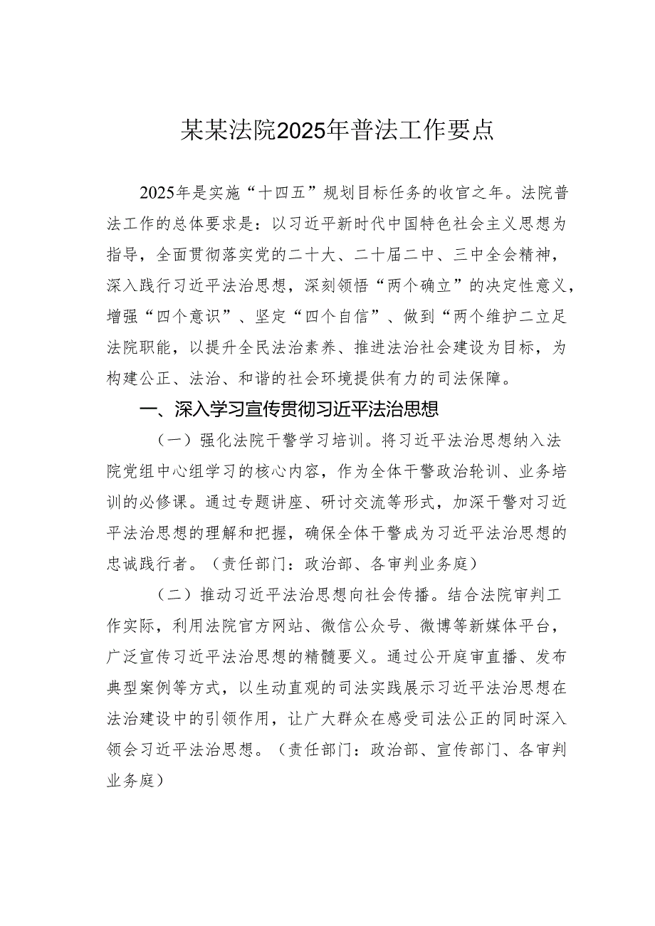 某某法院2025年普法工作要点.docx_第1页