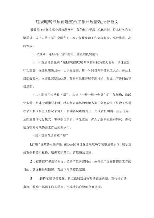 违规吃喝专项问题整治工作开展情况报告范文.docx