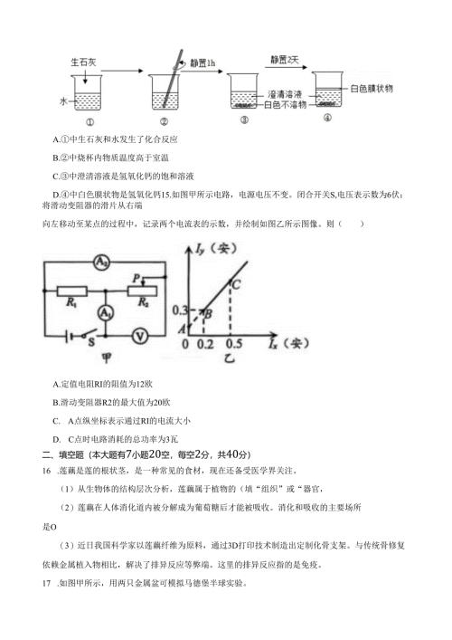 浙江省宁波市2025年九年级学业水平质量监测 科学试卷含答案解析.docx
