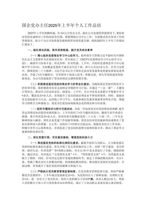 国企党办主任2025年上半年个人工作总结.docx