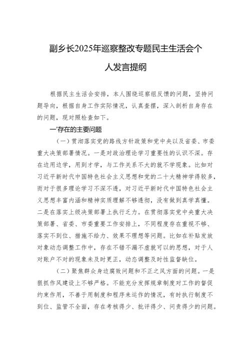 副乡长2025年巡察整改专题民主生活会个人发言提纲.docx