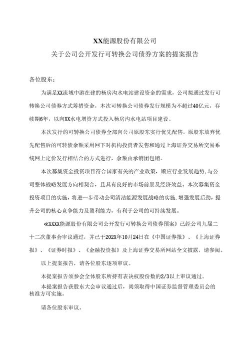 XX能源股份有限公司关于公司公开发行可转换公司债券方案的提案报告（2025年）.docx
