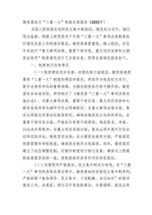 镇党委执行“三重一大”制度自查报告（2855字）.docx