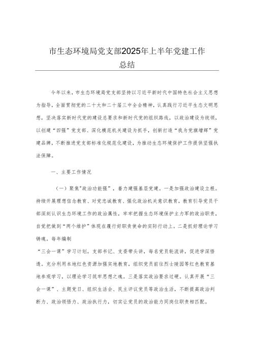 市生态环境局党支部2025年上半年党建工作总结.docx