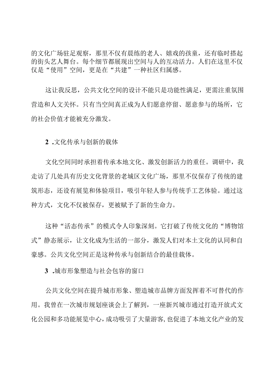 城市公共文化空间调查心得体会.docx_第2页