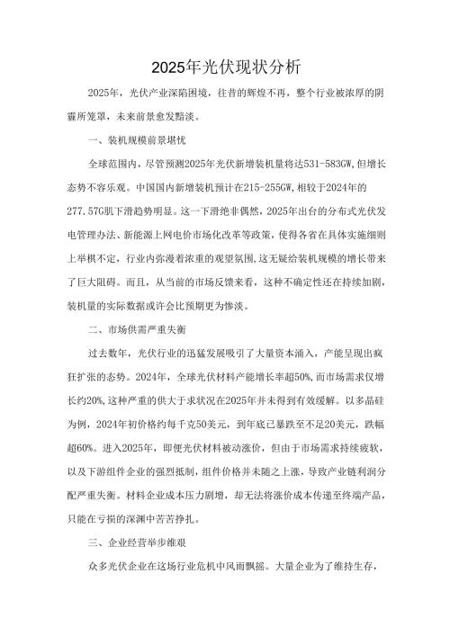 2025年光伏现状分析.docx