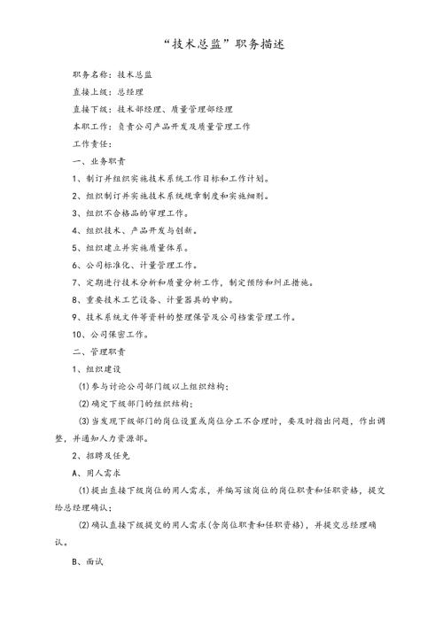企业“技术总监”职务描述.docx