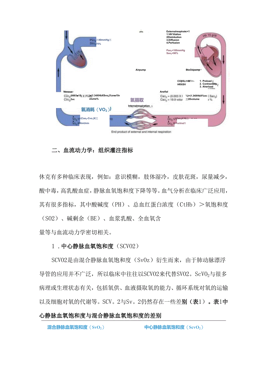 血气在血流动力学中的指标.docx_第2页