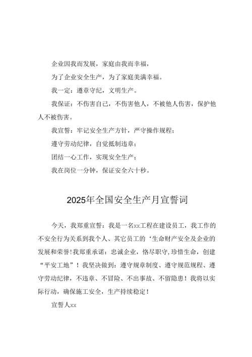2025年《安全生产月》个人宣誓词 （3份）_94.docx