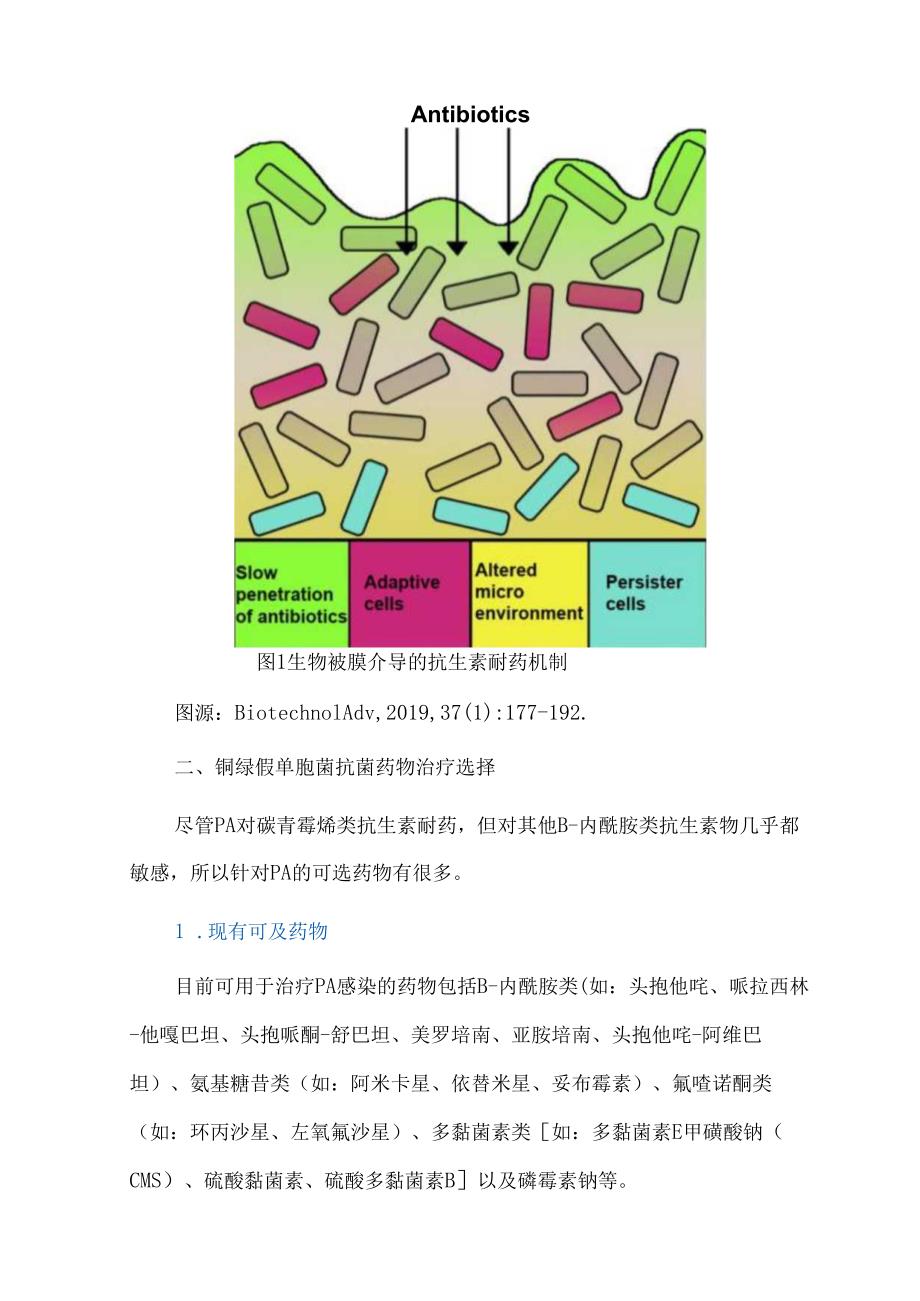 铜绿假单胞菌感染抗菌药物的治疗选择.docx_第2页