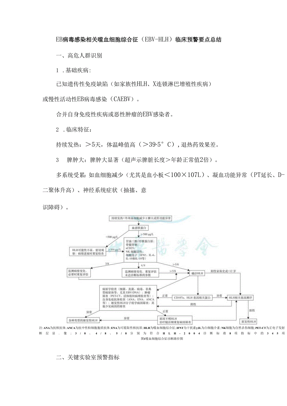 EB病毒感染相关噬血细胞综合征（EBV-HLH）临床预警要点总结.docx_第1页