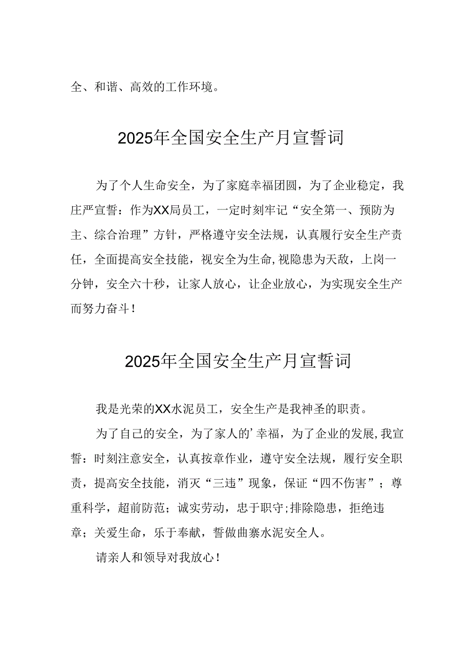 2025年全国《安全生产月》个人宣誓词 合计7份.docx_第2页