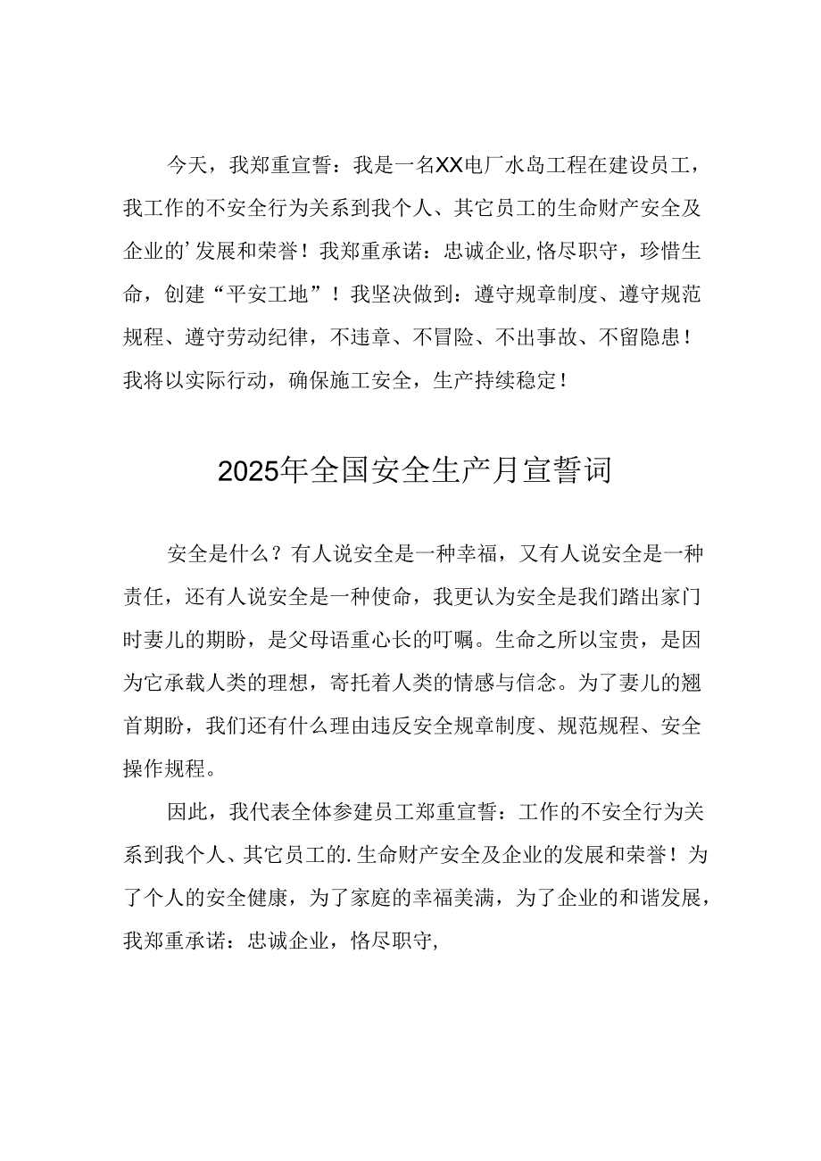 2025年全国《安全生产月》个人宣誓词 合计7份.docx_第3页