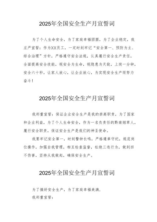 2025年全国《安全生产月》动员会宣誓词.docx