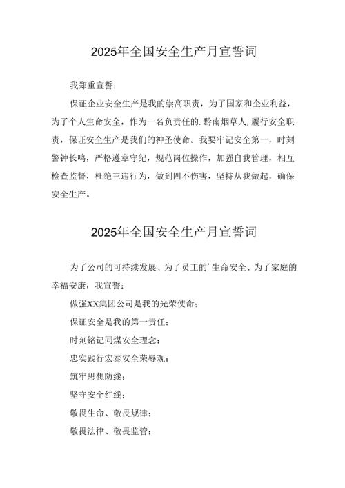 2025年全国《安全生产月》个人宣誓词.docx