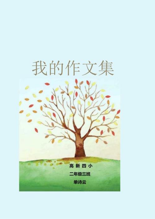 单诗云作文集.docx