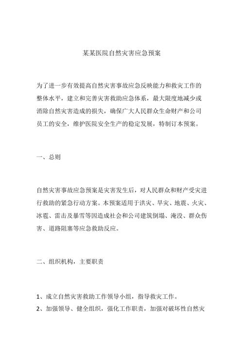 某某医院自然灾害应急预案.docx
