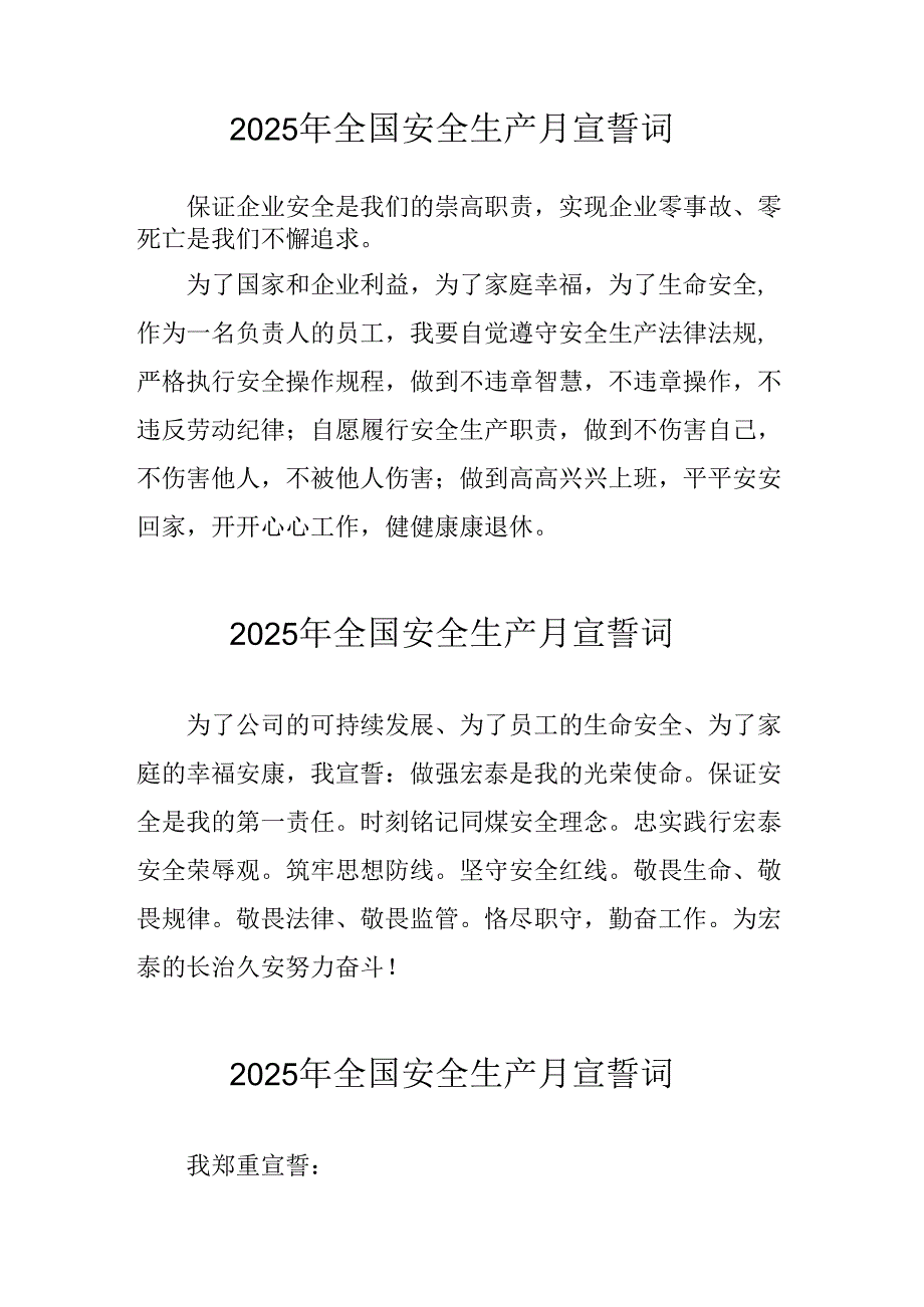 2025年安全生产月动员会宣誓词 合计7份.docx_第2页