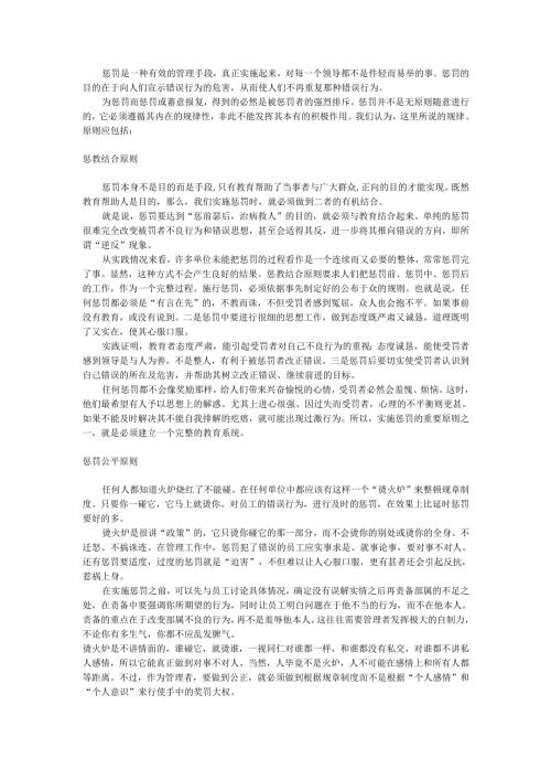 惩罚的原则及注意事项手册.docx