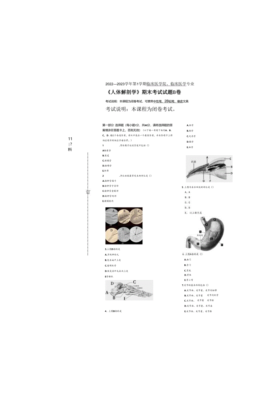 《解剖学》考试卷.docx_第2页