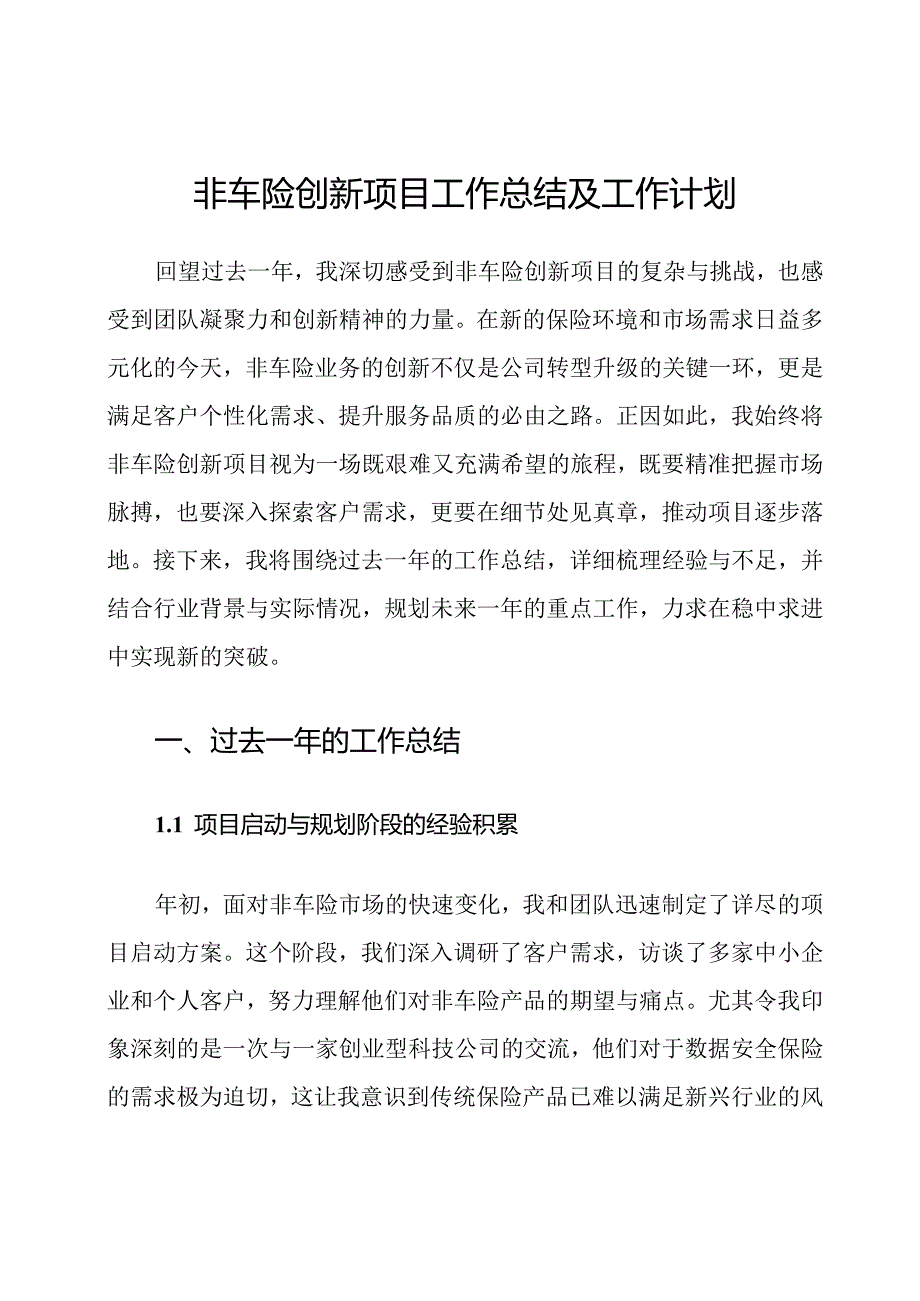 非车险创新项目工作总结及工作计划.docx_第1页