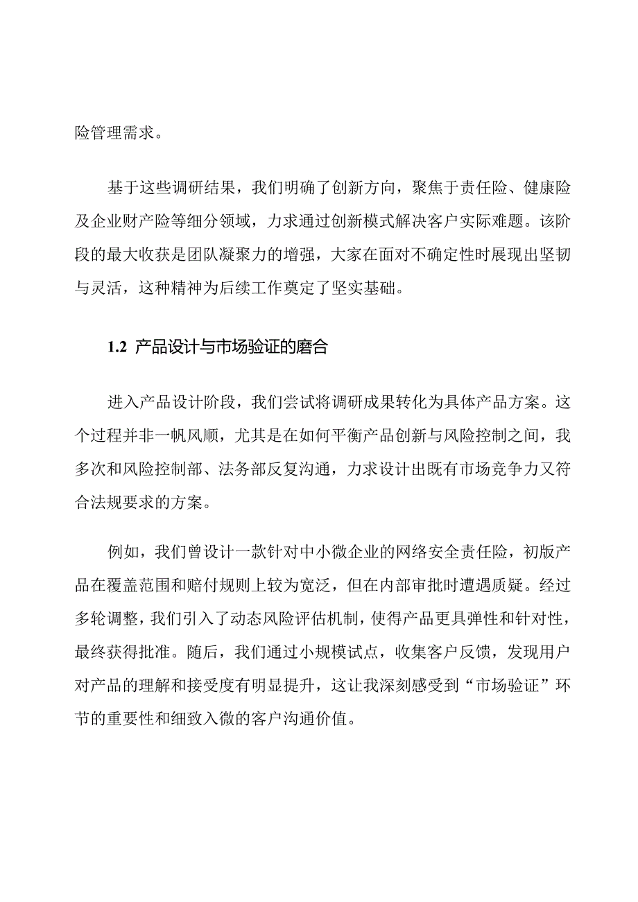 非车险创新项目工作总结及工作计划.docx_第2页