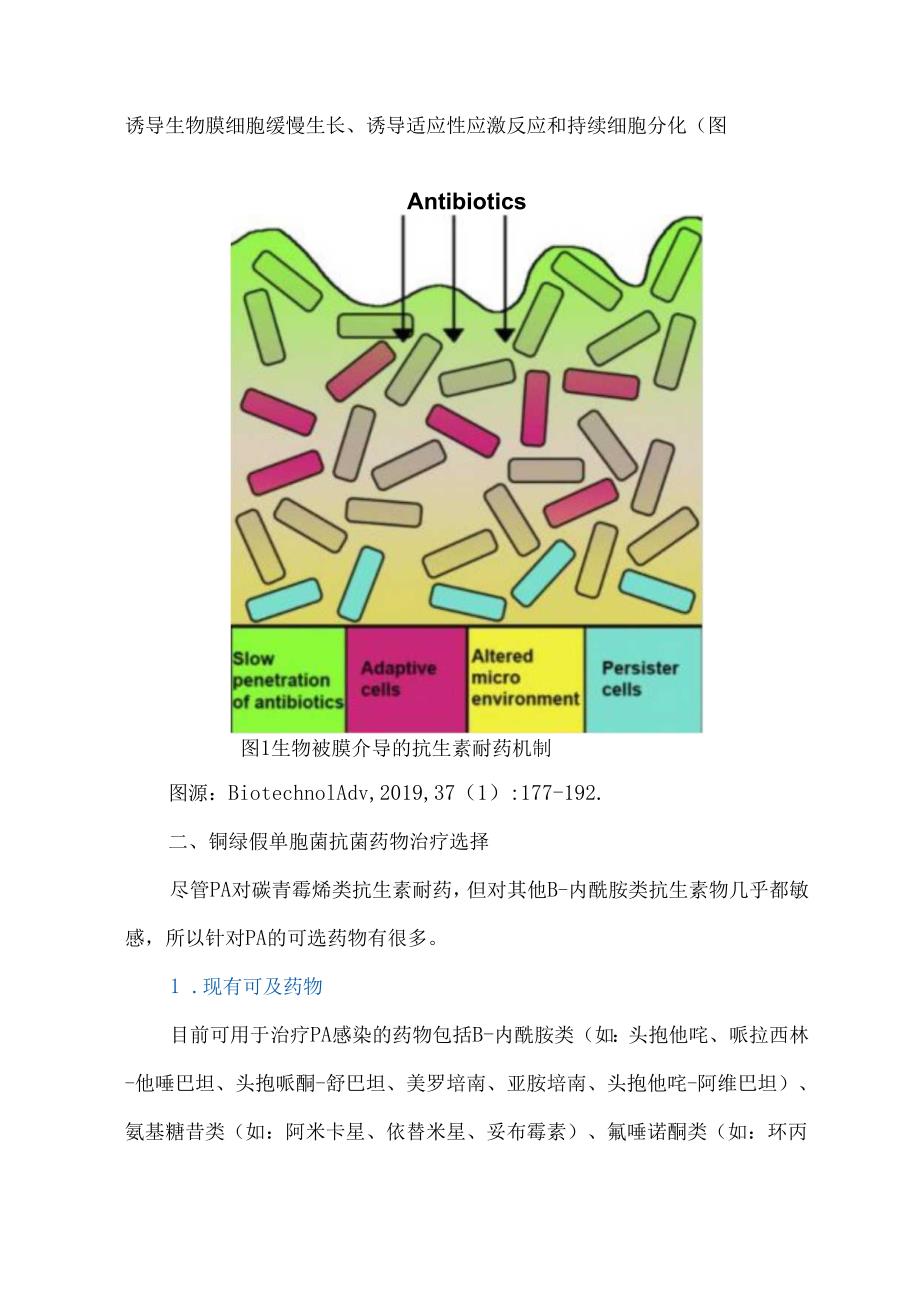 铜绿假单胞菌感染抗菌药物的治疗选择：临床药师视角.docx_第2页