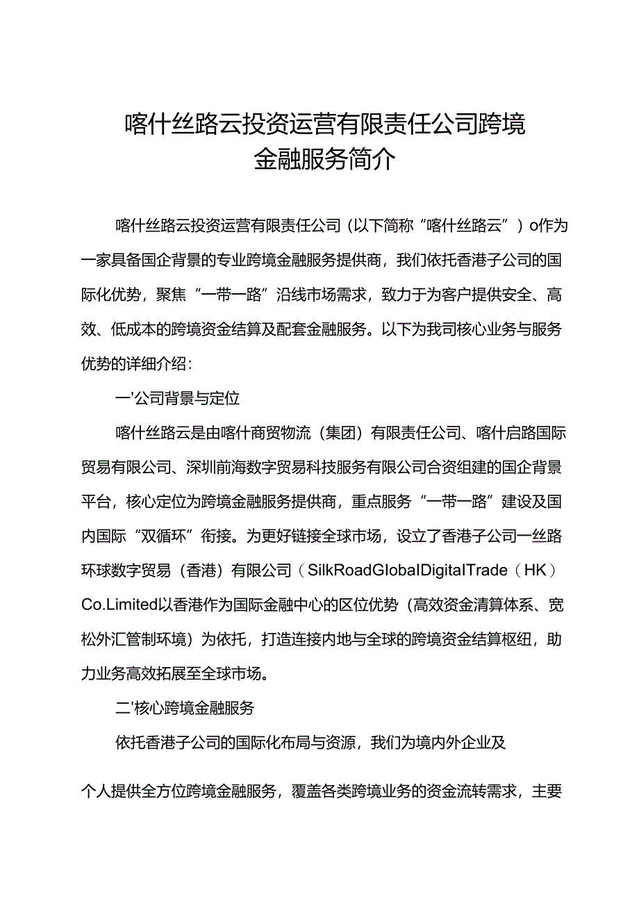 喀什丝路云公司简介.docx_第1页