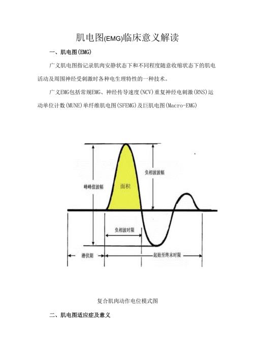 肌电图(EMG)临床意义解读.docx
