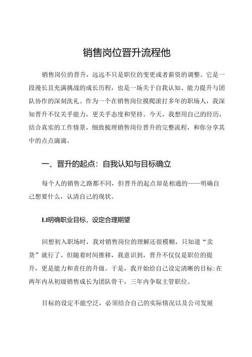 销售岗位晋升流程他.docx